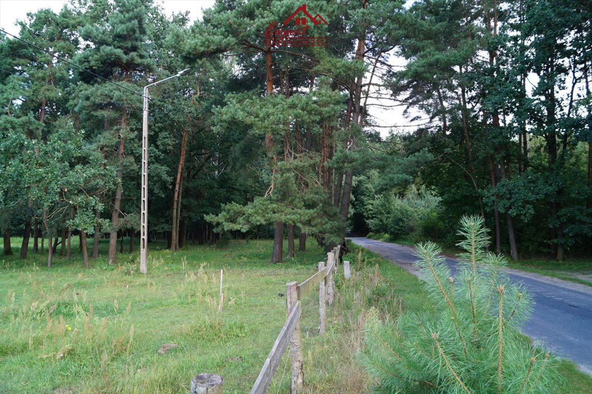 Działka budowlana na sprzedaż Wola Kamieńska  1 200m2 Foto 6