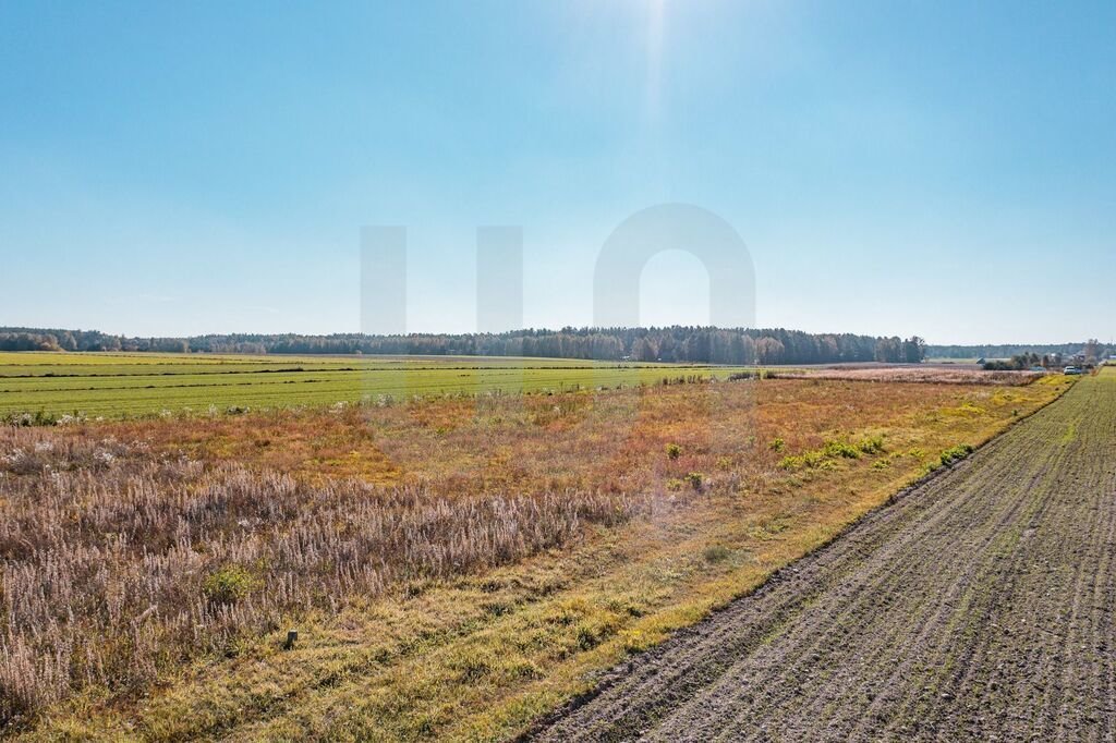 Działka budowlana na sprzedaż Krajęczyn  3 000m2 Foto 6