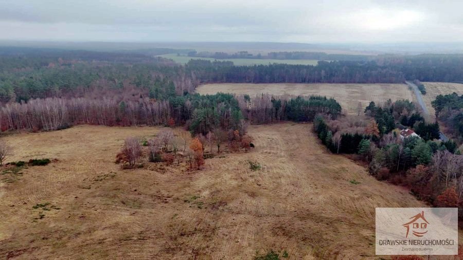 Działka inna na sprzedaż Pepłówek, Pepłówek  245 314m2 Foto 1