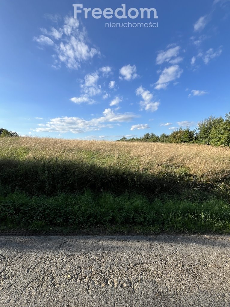 Działka budowlana na sprzedaż Raciechowice  4 600m2 Foto 4