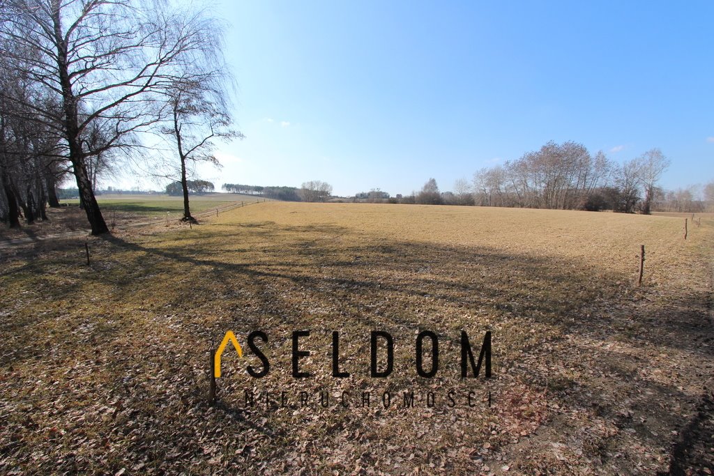 Działka rekreacyjna nad jeziorem w Głodowie 4500 m2 Głodowo  4 500m2 Foto 1