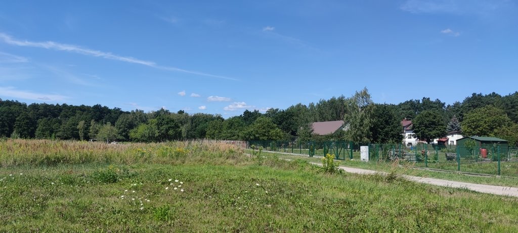 Działka budowlana na sprzedaż Lipków, Jastrzębia  918m2 Foto 6