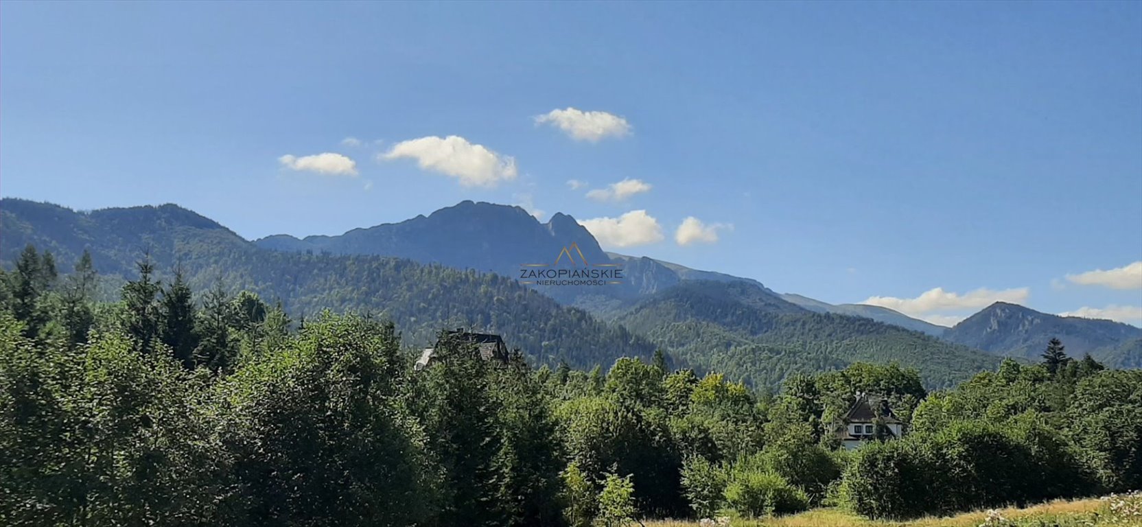 Działka budowlana na sprzedaż Zakopane  670m2 Foto 1