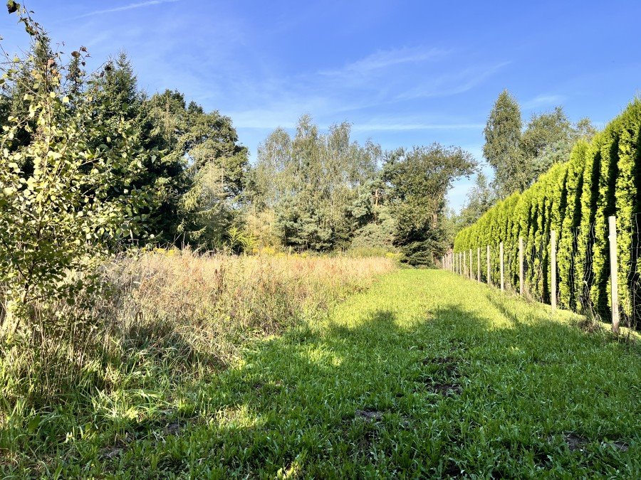 Działka budowlana na sprzedaż Zieleniewo  1 200m2 Foto 2