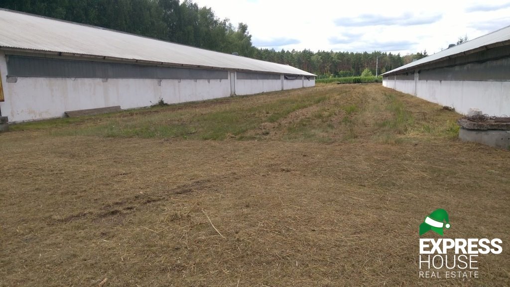 Lokal użytkowy na sprzedaż Skwierzyna, Spokojna  5 200m2 Foto 6