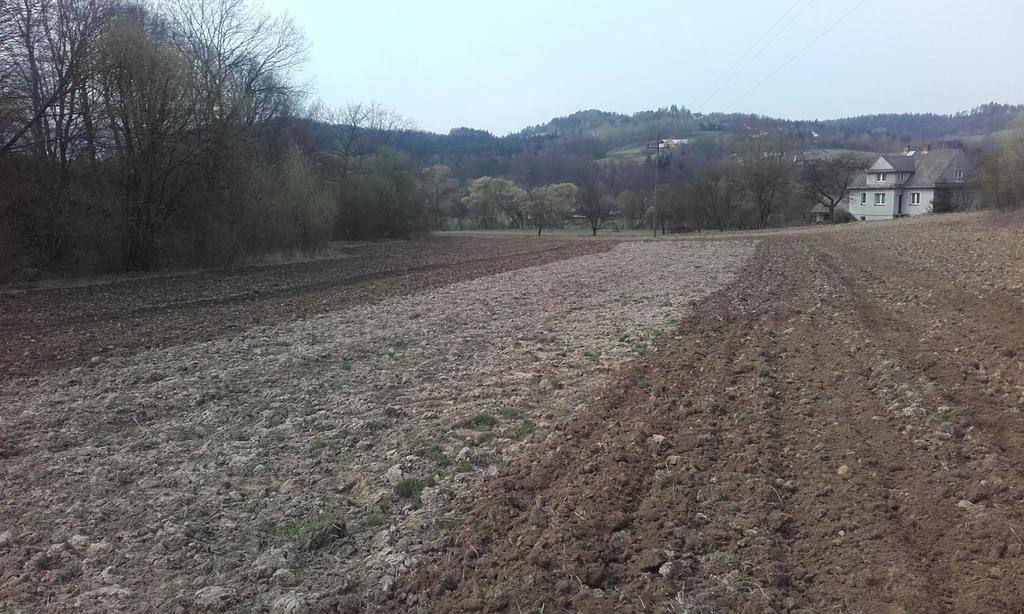 Działka rolna na sprzedaż Raciechowice  8 300m2 Foto 3