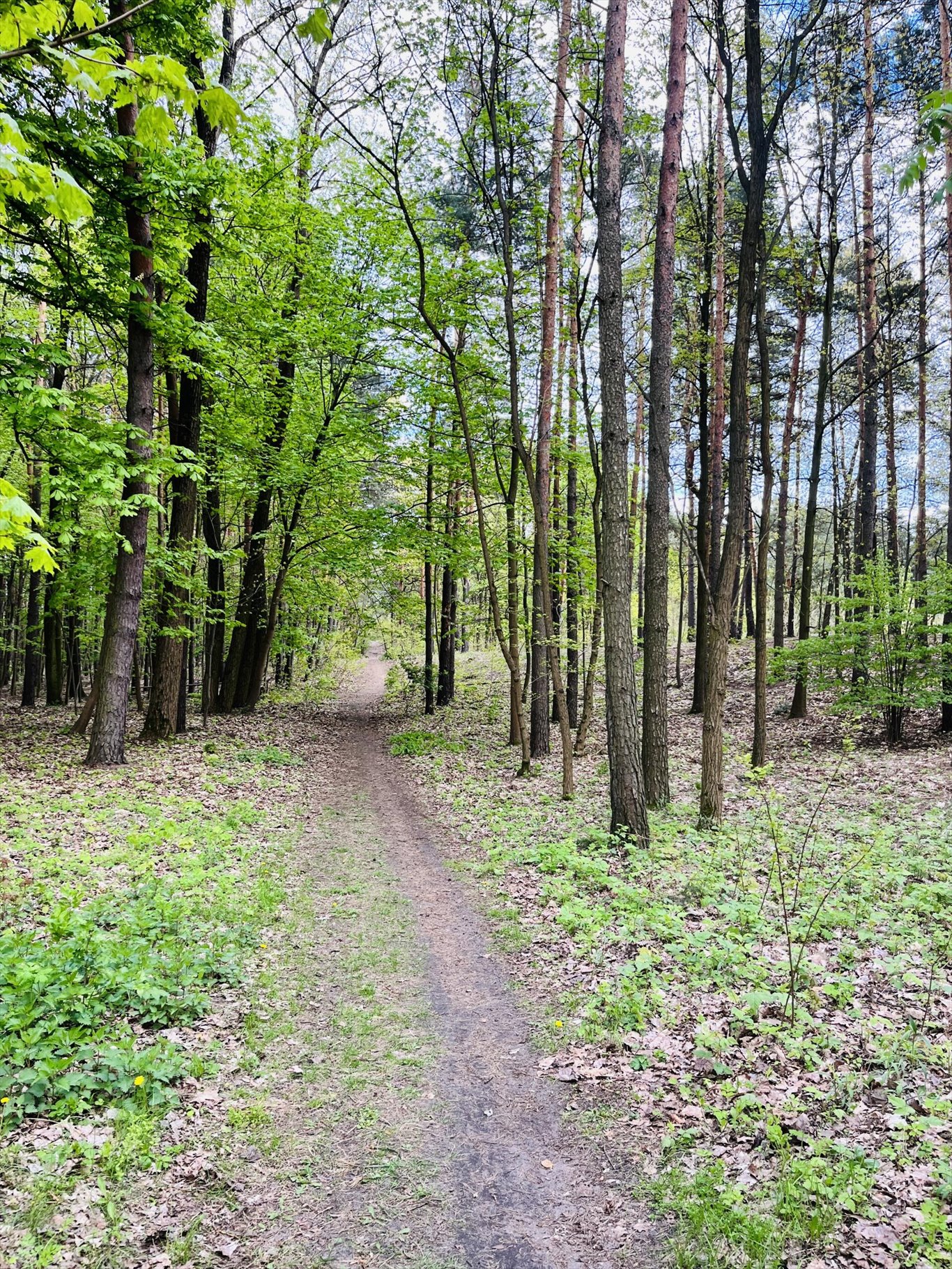 Działka inna na sprzedaż Wołomin, Orzechowa  2 000m2 Foto 4