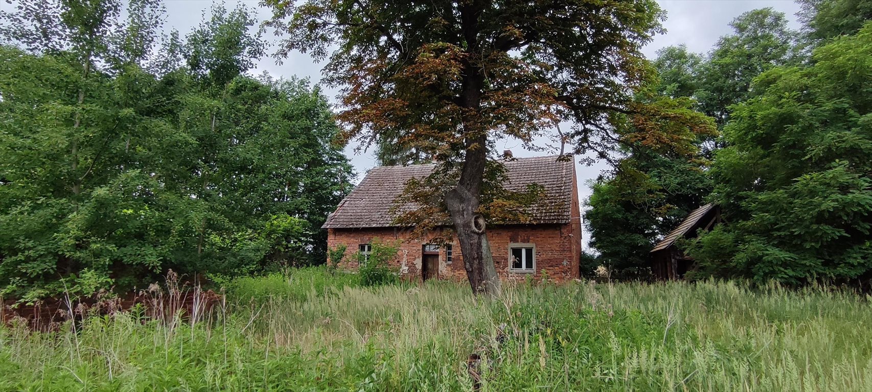 Działka siedliskowa na sprzedaż Domasławice  7 652m2 Foto 6