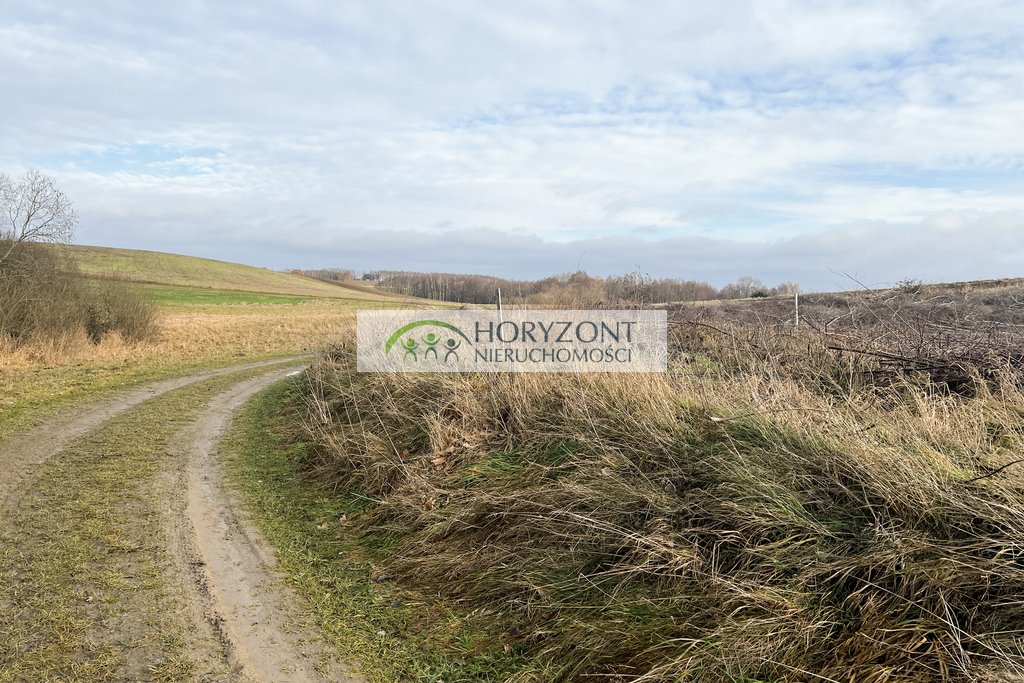 Działka budowlana 1255 m2 w Lisewcu – spokojne wzgórze Lisewiec  1 255m2 Foto 1