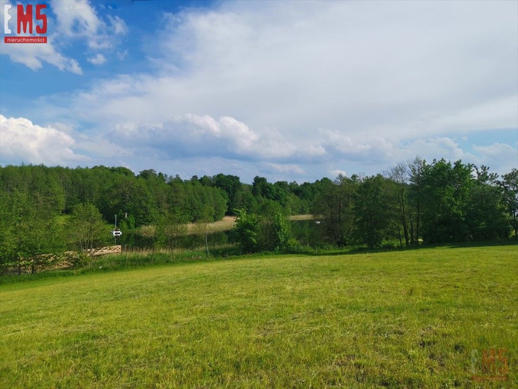 Działka inna na sprzedaż Wenecja  1 500m2 Foto 4