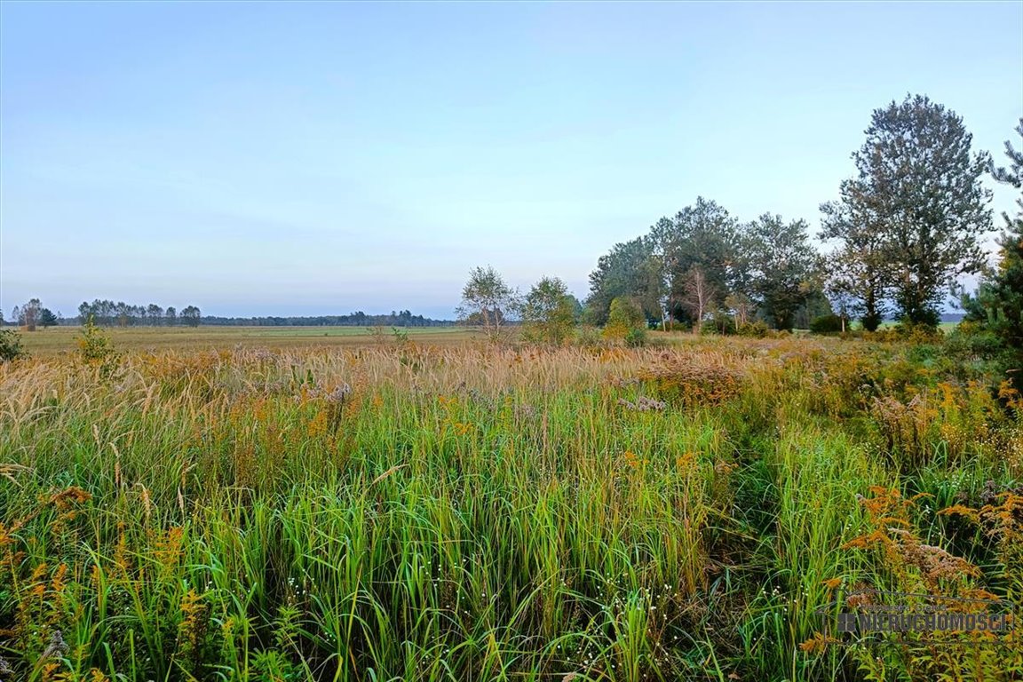 Działka inna na sprzedaż Stare Wierzchowo  3 436m2 Foto 9