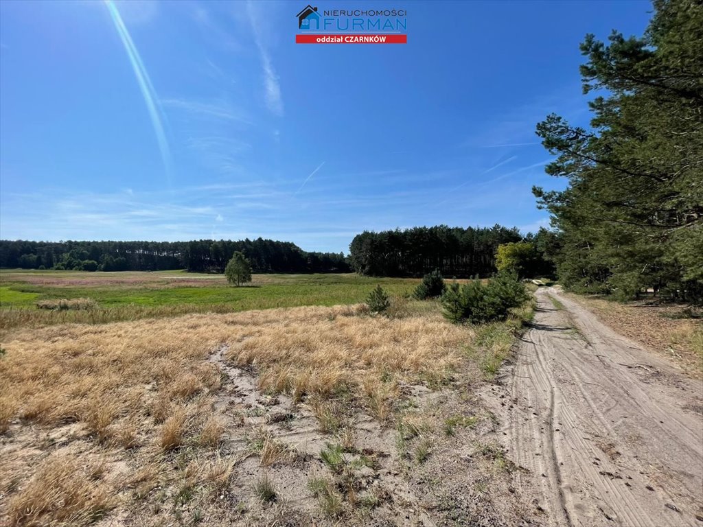 Działka leśna na sprzedaż Miały  45 200m2 Foto 8