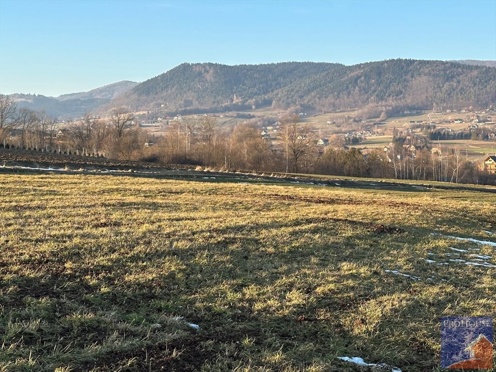 Działka budowlana na sprzedaż Męcina  4 200m2 Foto 1