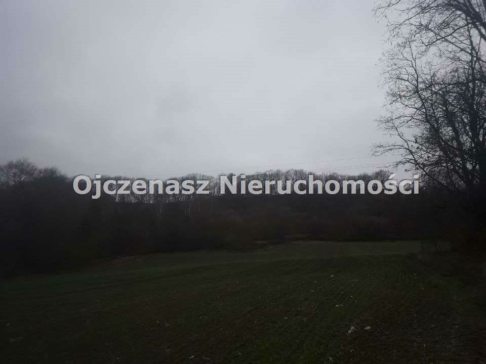 Działka 6819 m² z widokiem na Wisłę, do dokupienia sąsiednia Strzelce Dolne  6 819m2 Foto 1