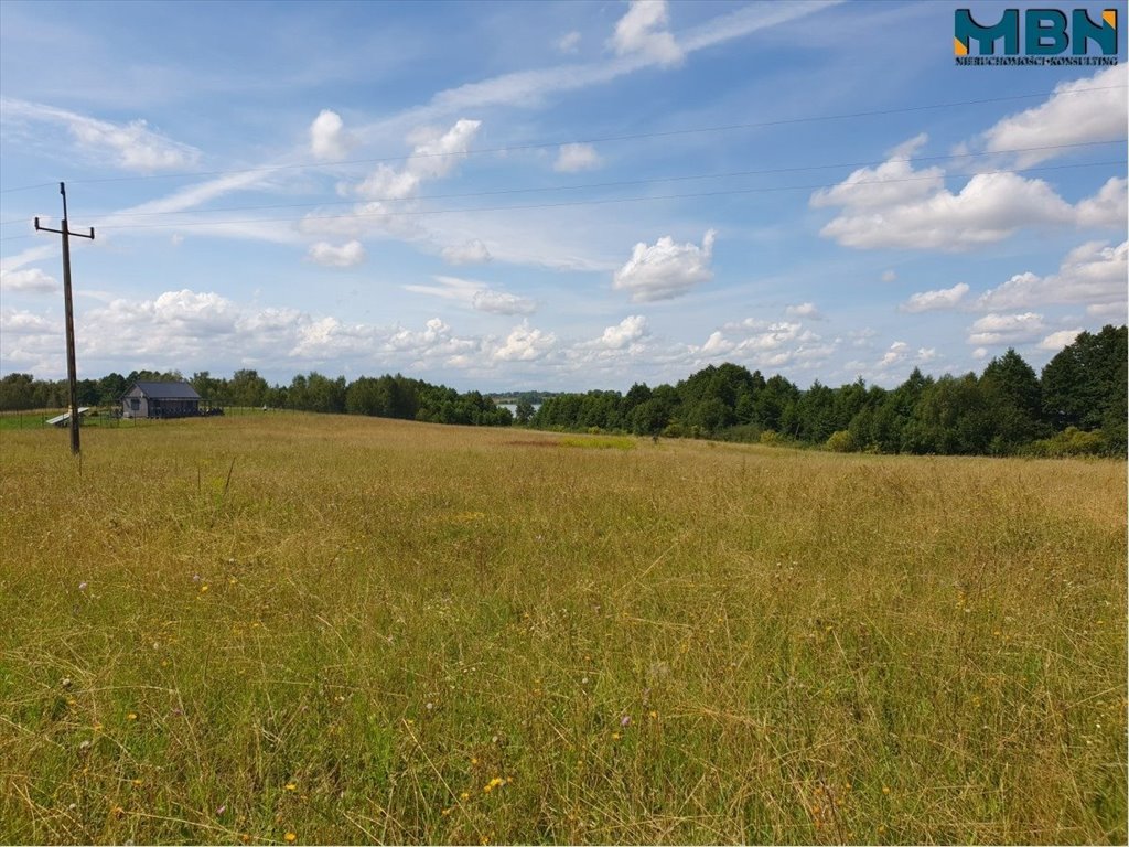 Działka rekreacyjna na sprzedaż Harsz, Harsz  4 720m2 Foto 3