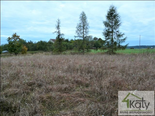 Działka rolna na sprzedaż Samolubie, Samolubie, Samolubie  3 556m2 Foto 3