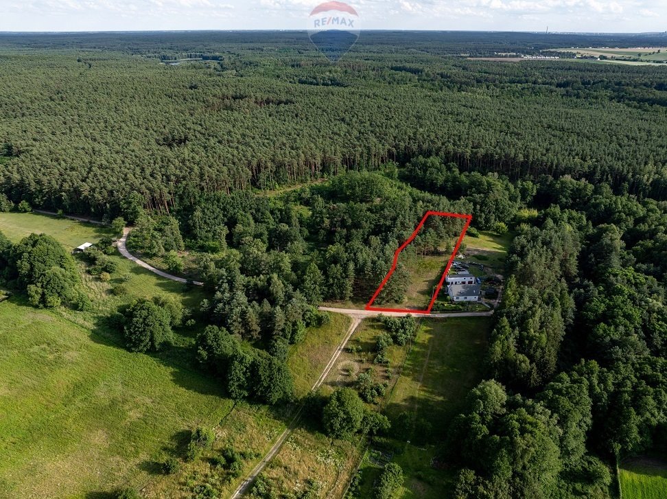 Działka budowlana na sprzedaż Rakownia  7 100m2 Foto 6