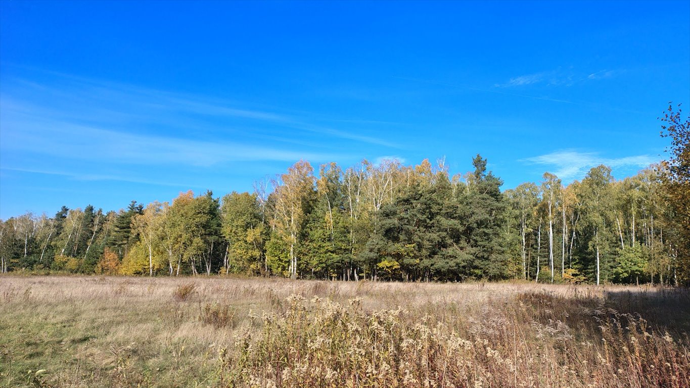 Działka budowlana na sprzedaż Brzozowica, Brzozowica  830m2 Foto 17