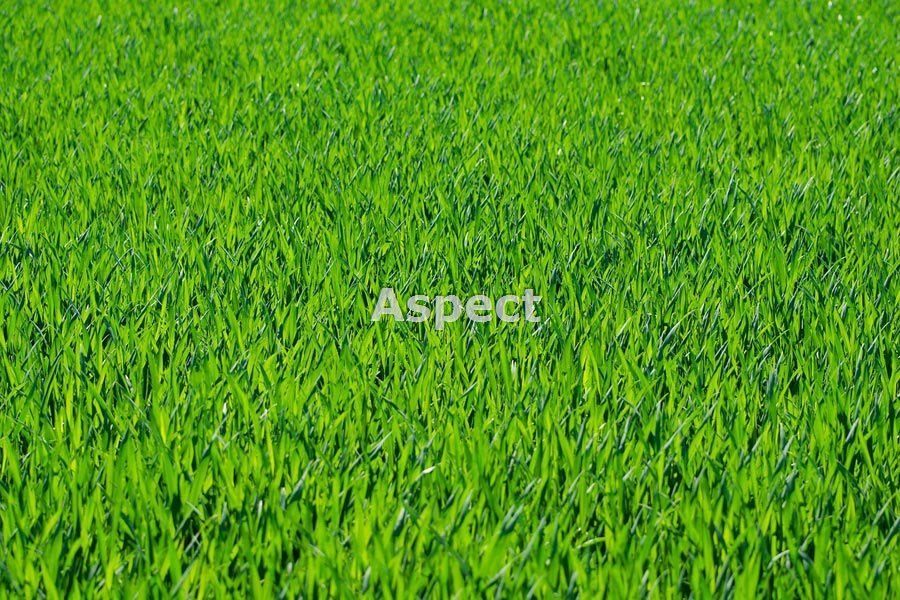 Działka przemysłowa 10 000 m² z mediami, inwestycyjna Żory, Osiny  10 000m2 Foto 1