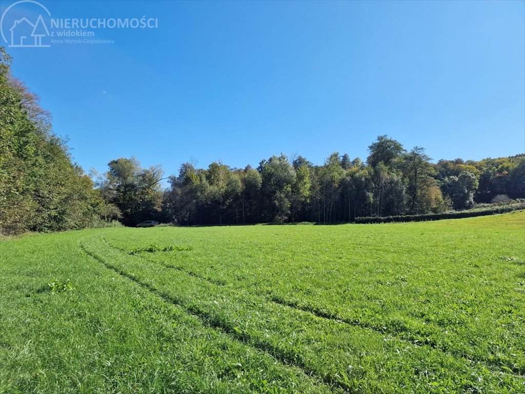 Działka rolna na sprzedaż Strzeszyn  3 900m2 Foto 2