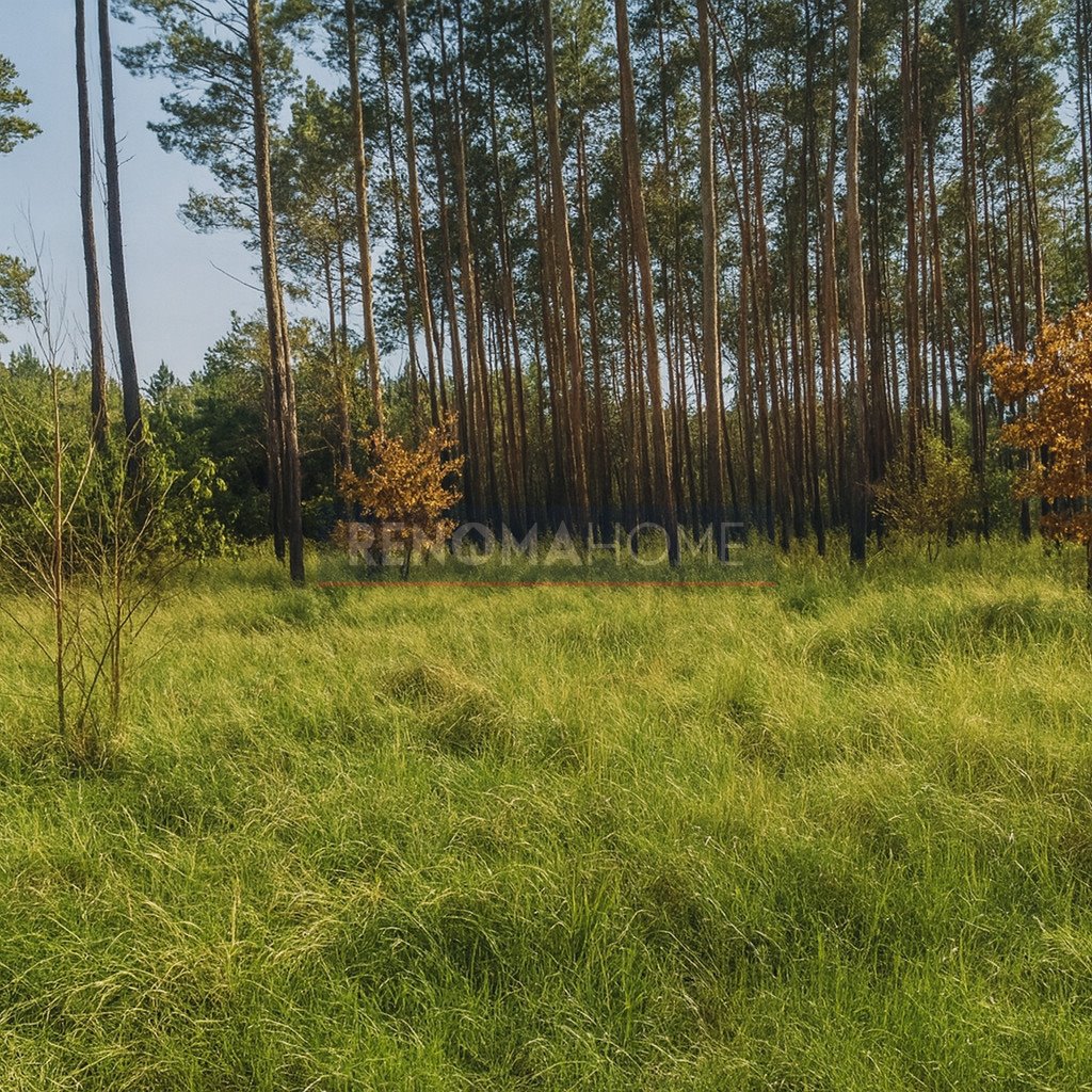 Działka budowlana 744 m² w Drzonkowie – cisza i zieleń Zielona Góra  744m2 Foto 1