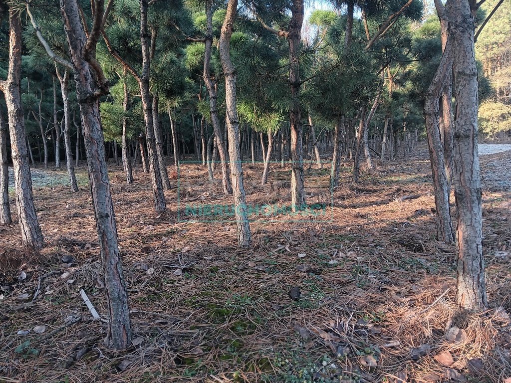 Działka 1997 m2 w Żelechowie z nową zabudową i szybkim dojazdem Żelechów  1 997m2 Foto 1