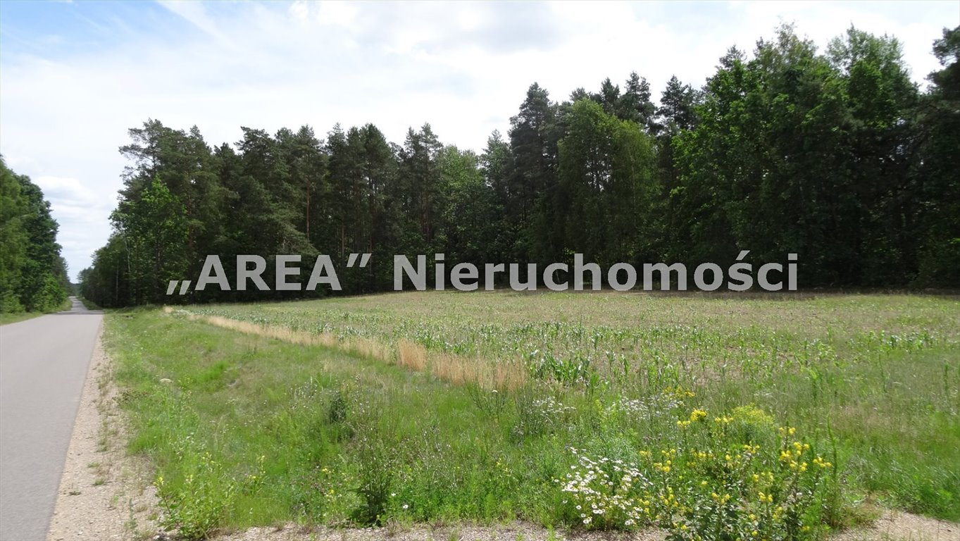 Urokliwa działka 3743 m² z lasem i dostępem asfaltowym polecam Pasynki  3 743m2 Foto 1