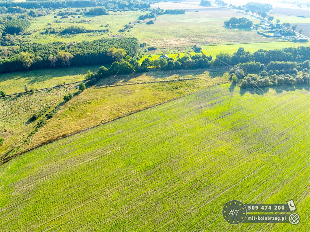 Działka budowlana na sprzedaż Daszewo  1 222m2 Foto 3