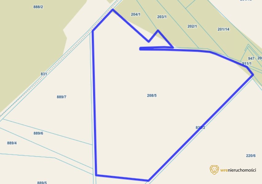 Działka rolna 65,8 ha z potencjałem pod siedlisko i hodowlę Wójcice  65 826m2 Foto 1