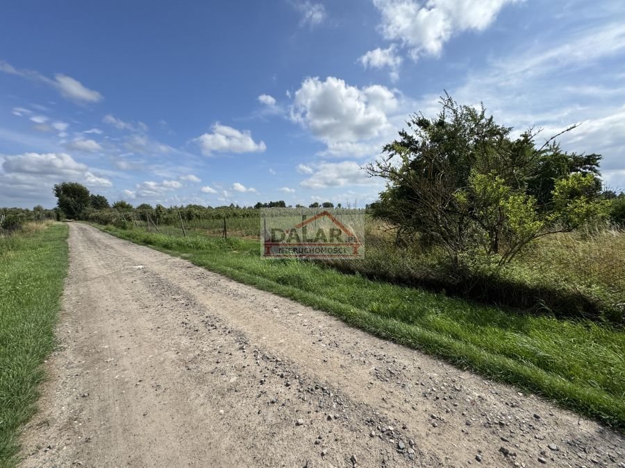 Działka rolna na sprzedaż Czersk, Pólko  6 500m2 Foto 1