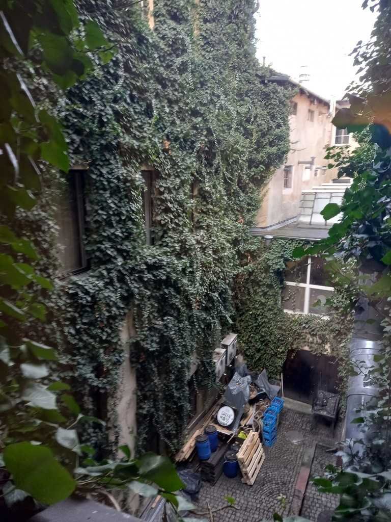 Kamienica w Rynku Świdnicy z 16 wieku, 1276 m2, 9% zwrotu Świdnica  1 276m2 Foto 1