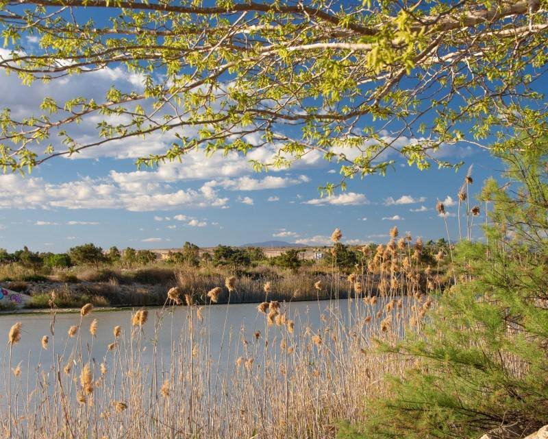 Dom na sprzedaż Hiszpania, Guardamar del Segura, Hiszpania, Guardamar del Segura  97m2 Foto 35