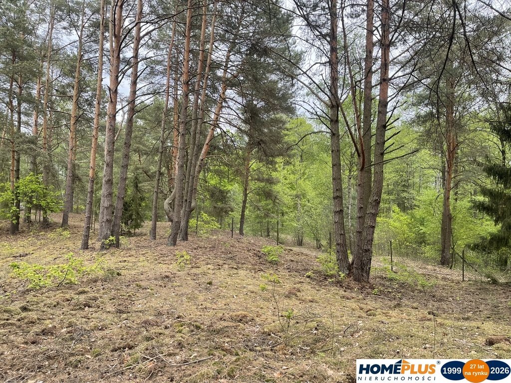 Działka 2064 m² w Rejentówce – las, prąd, dom całoroczny Radzymin, Rejentówka  2 064m2 Foto 1