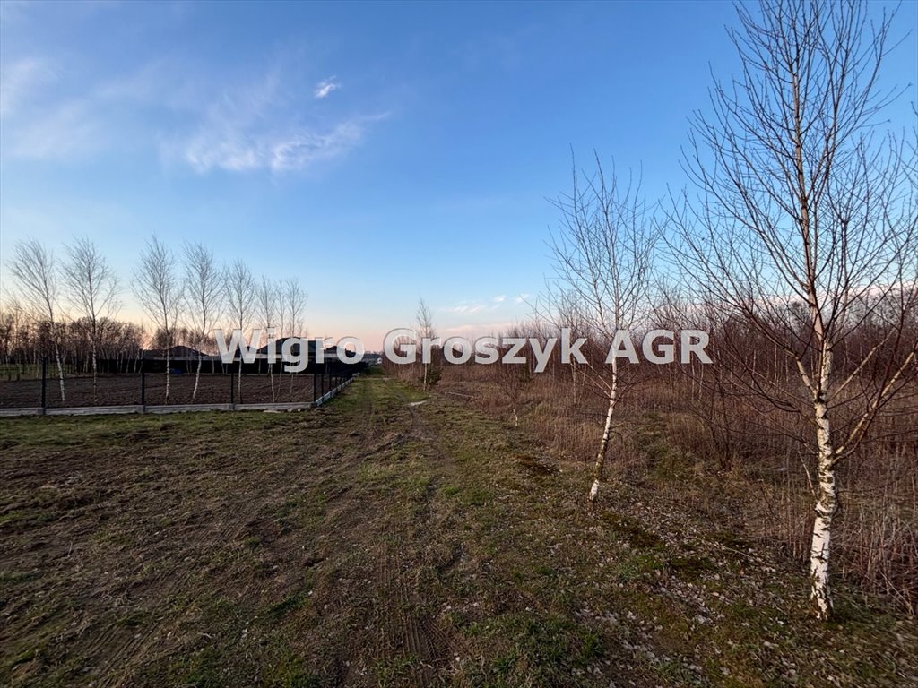 Działka inna na sprzedaż Ludwikowo  1 300m2 Foto 1