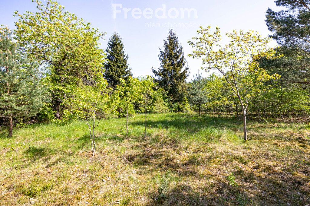 Działka budowlana na sprzedaż Dąbrowa Chotomowska  2 593m2 Foto 3