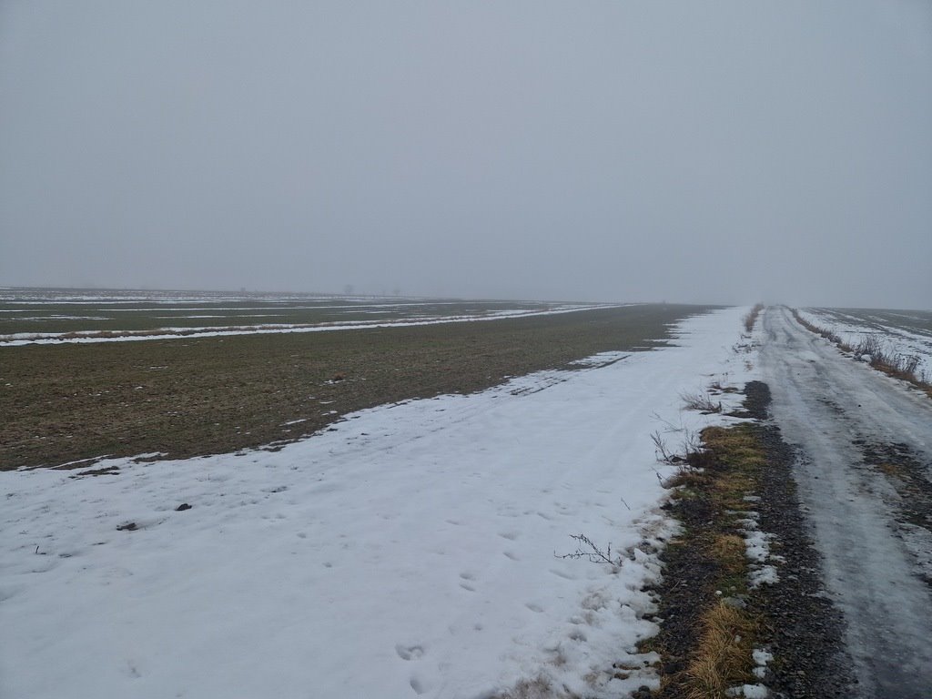 Działka 1,55 ha z dojazdem, lasem i rolą w Ignacowie Ignaców  15 500m2 Foto 1