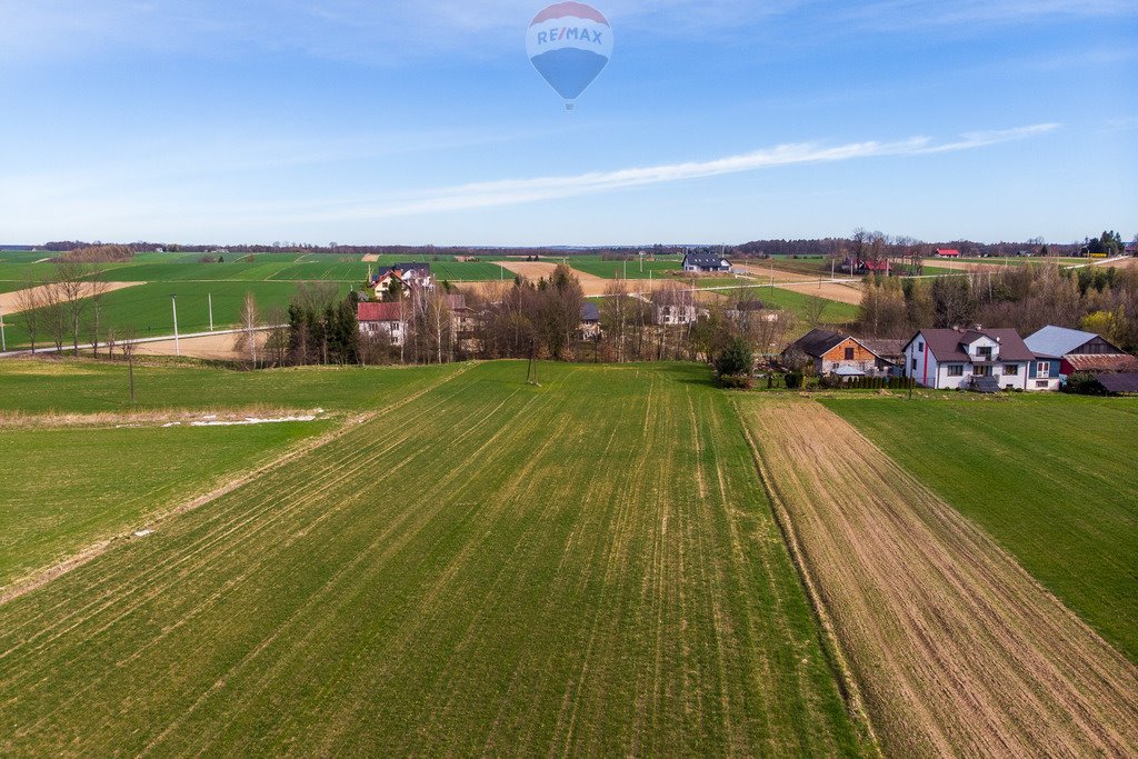 Działka budowlana na sprzedaż Grzegorzowice Wielkie  3 200m2 Foto 4