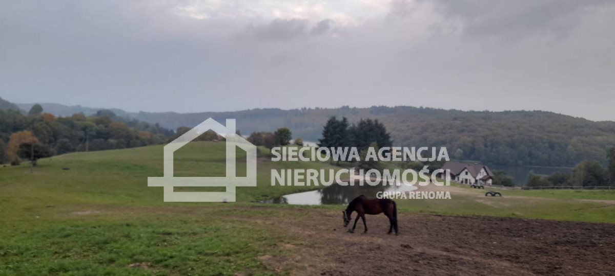 Działka inwestycyjna na sprzedaż Kolano  17 900m2 Foto 6