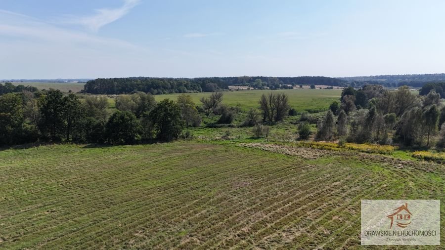 Działka rolna na sprzedaż Mielenko Drawskie, Mielenko Drawskie  71 700m2 Foto 5