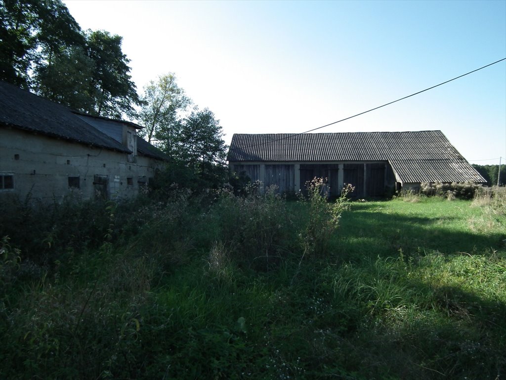 Działka siedliskowa na sprzedaż Bylice, Bylice  3 000m2 Foto 6