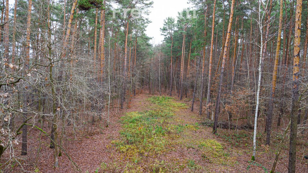 Działka budowlana na sprzedaż Sękocin-Las, Al. Krakowska  2 392m2 Foto 10