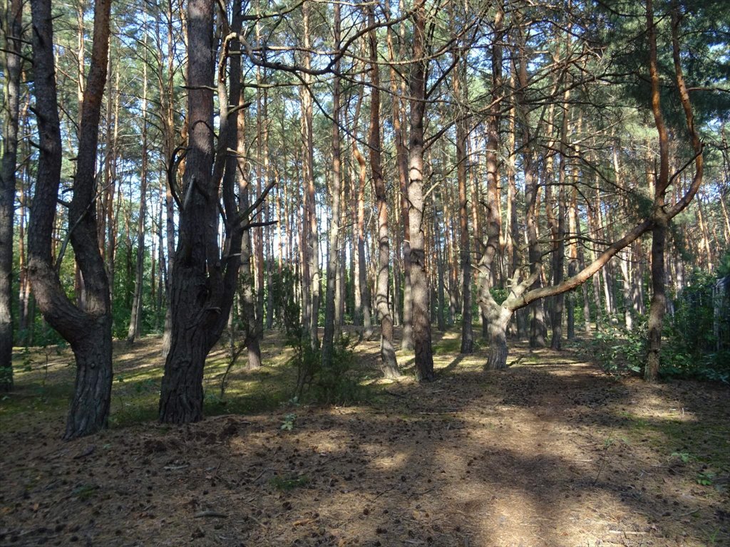 Działka przemysłowo-handlowa na sprzedaż Józefów, Aleksandra Puszkina  1 657m2 Foto 1