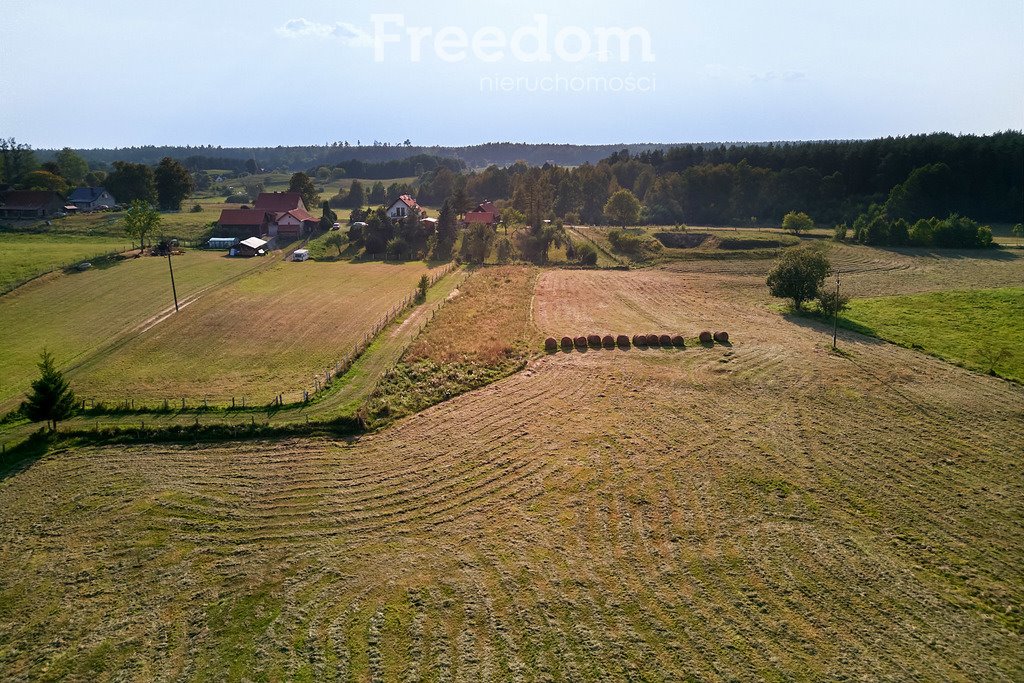 Działka budowlana na sprzedaż Lipowo  38 700m2 Foto 6