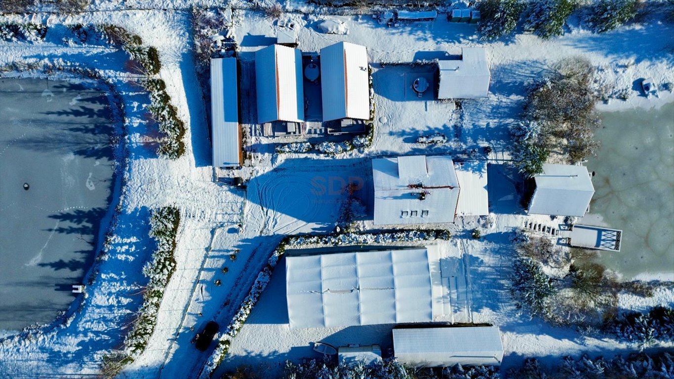 Lokal użytkowy na sprzedaż Borówno, ok. Kamiennej  7 779m2 Foto 1