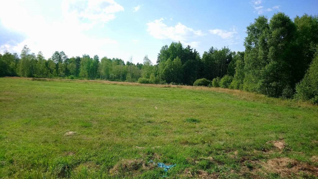 Do sprzedania malownicza działka 40 000 m² w Koniecpolu Koniecpol  40 000m2 Foto 1
