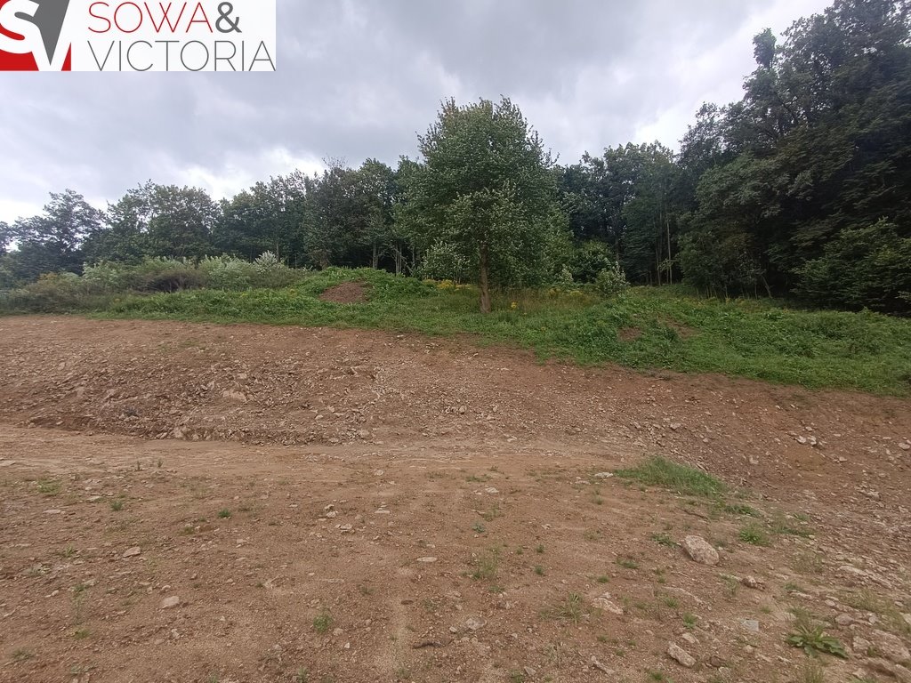 Działka budowlana na sprzedaż Dziećmorowice  6 052m2 Foto 5