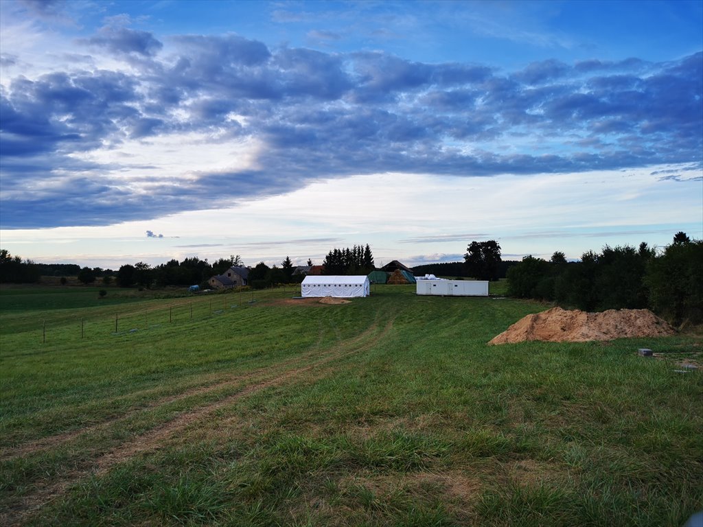 Działka rolna na sprzedaż Giżycko  8 961m2 Foto 6