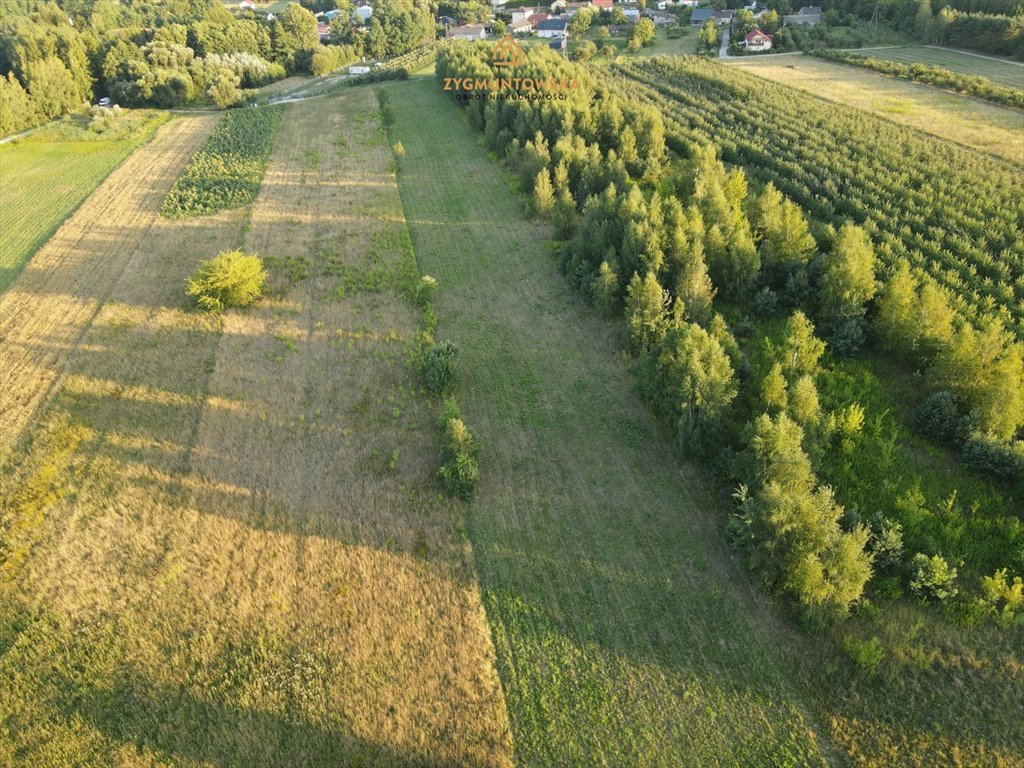 Działka inna na sprzedaż Nowe Miasto nad Pilicą, Pobiedna  9 806m2 Foto 9