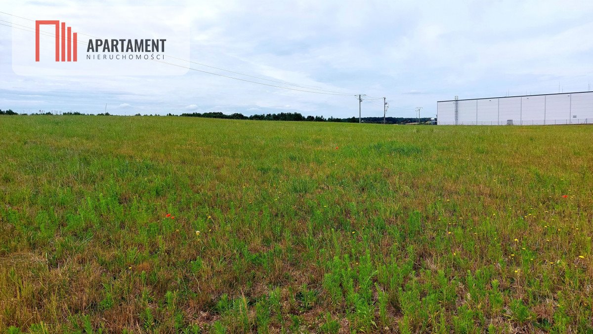 Działka budowlana na sprzedaż Witunia  1 002m2 Foto 10