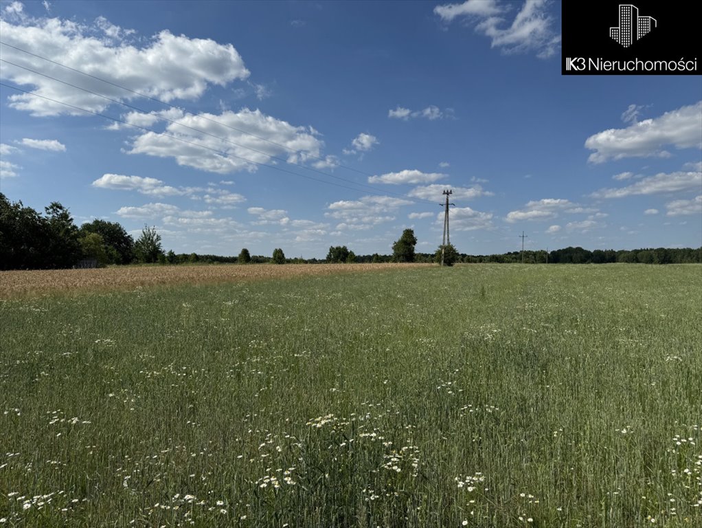 Działka budowlana na sprzedaż Czarna  12 100m2 Foto 8